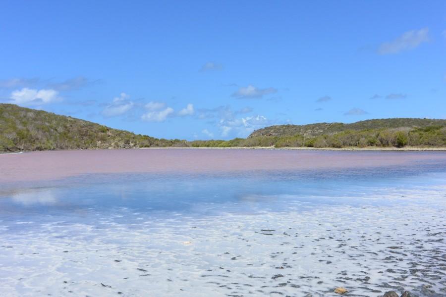 salt pond bay