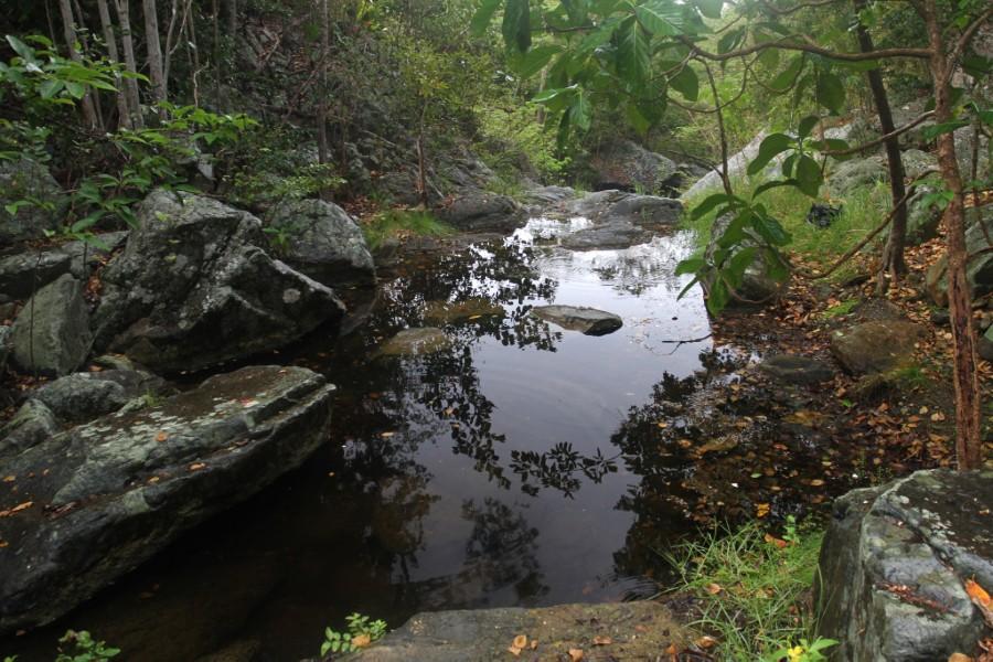 Freshwater pools