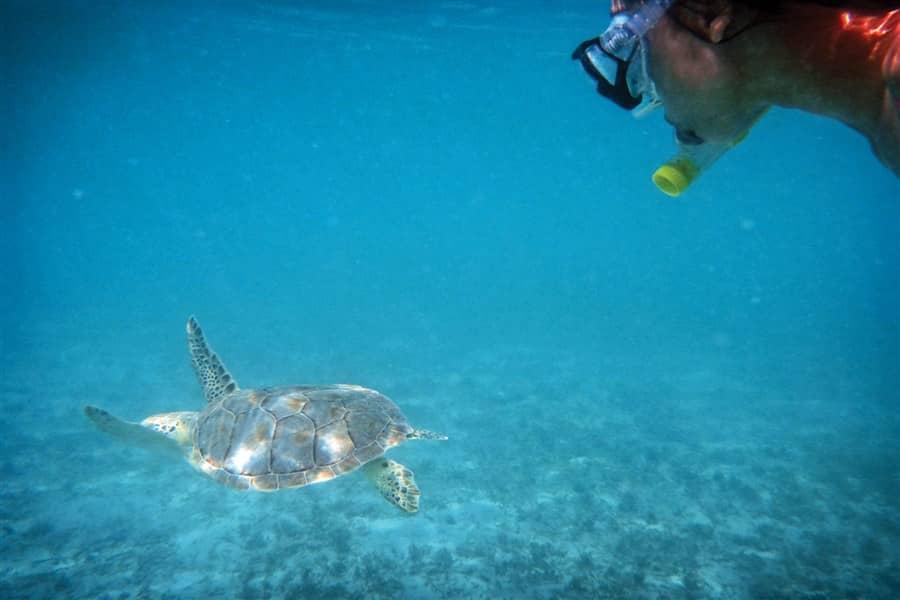 snorkeling in St. John