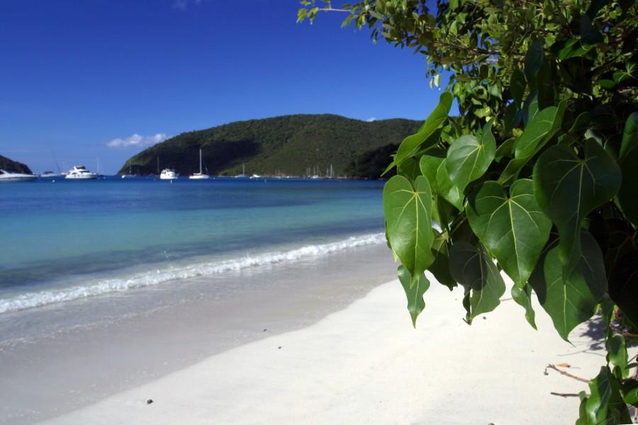 Maho Bay Beach (St. John)