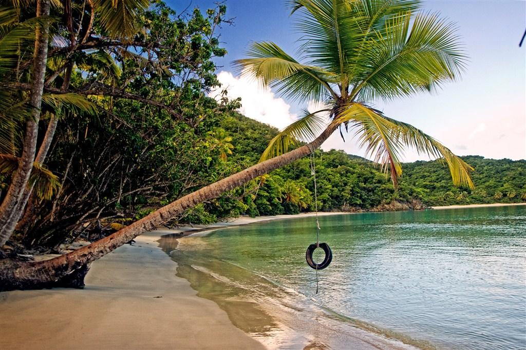 Swing at Gibney Beach