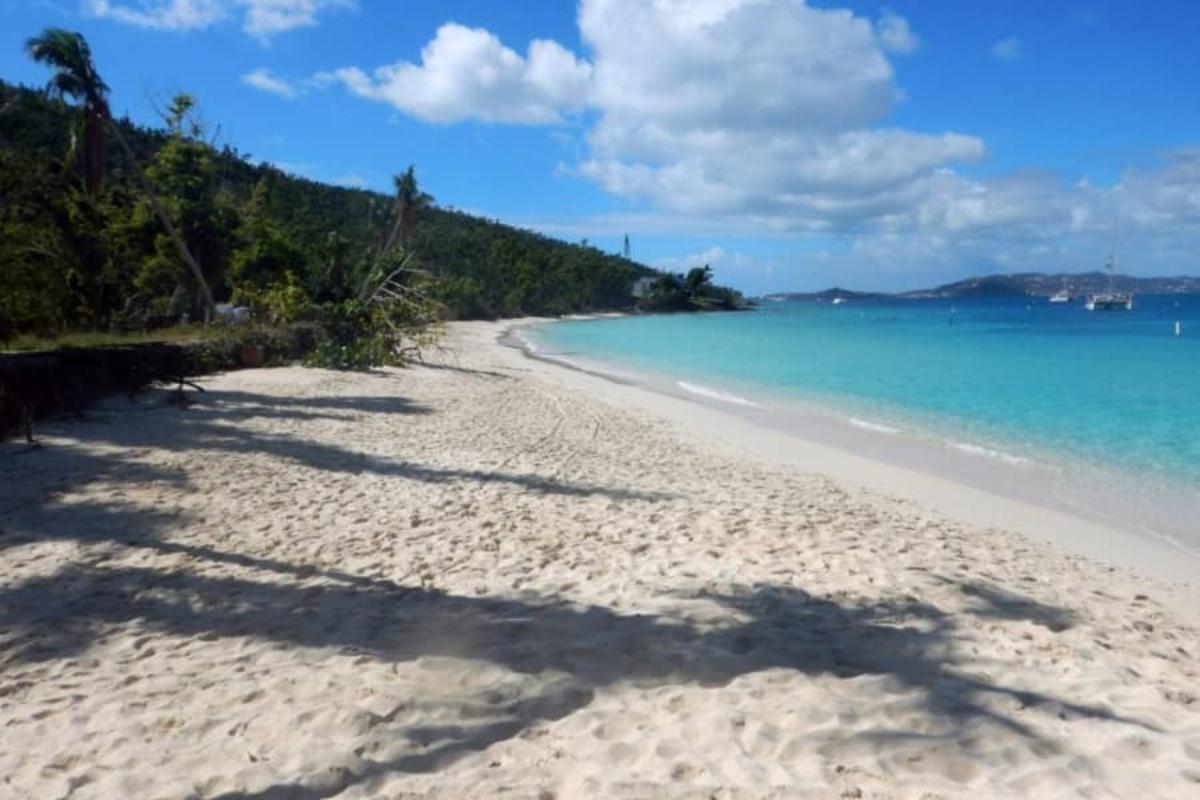 Honeymoon Beach Guide (St. John)