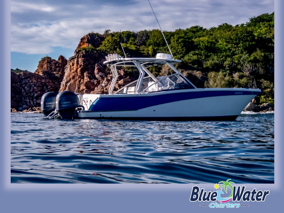 Blue Water Charters