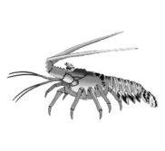 spiny lobster