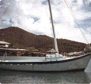 tortola sloop