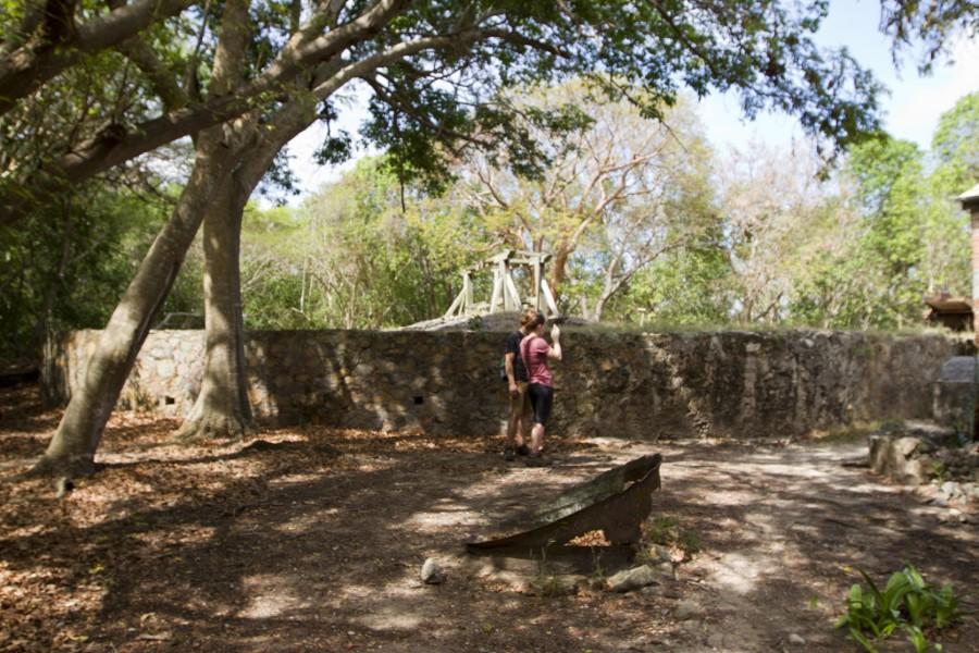 Reef Bay Trail Hike