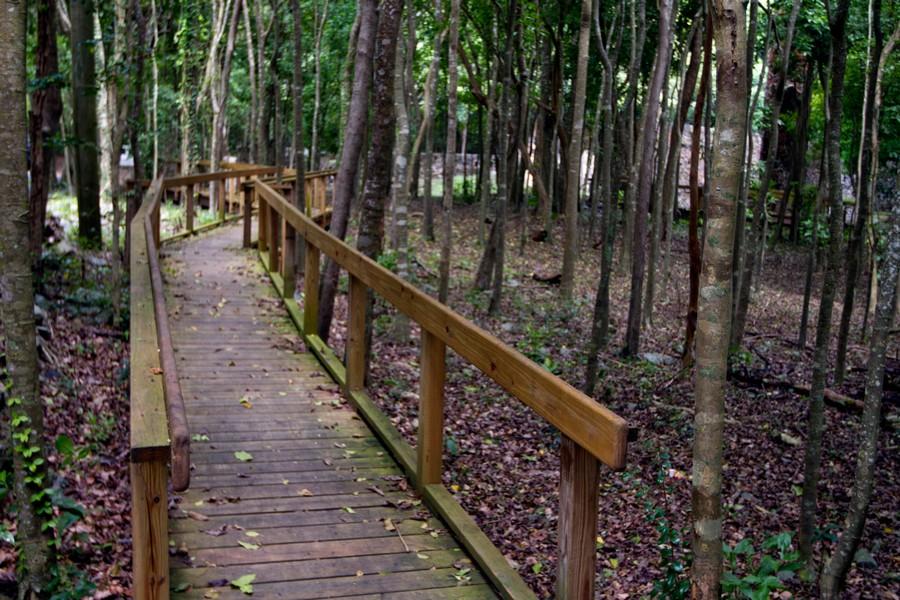 Boardwalk Cinnamon Bay Trail