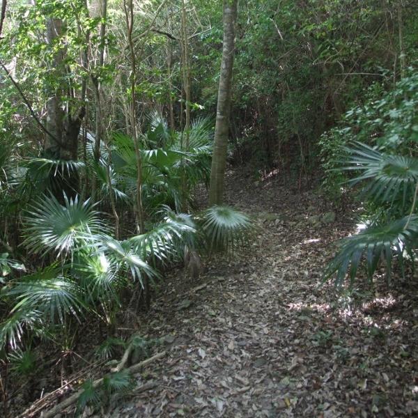 Bordeaux Mountain Trail