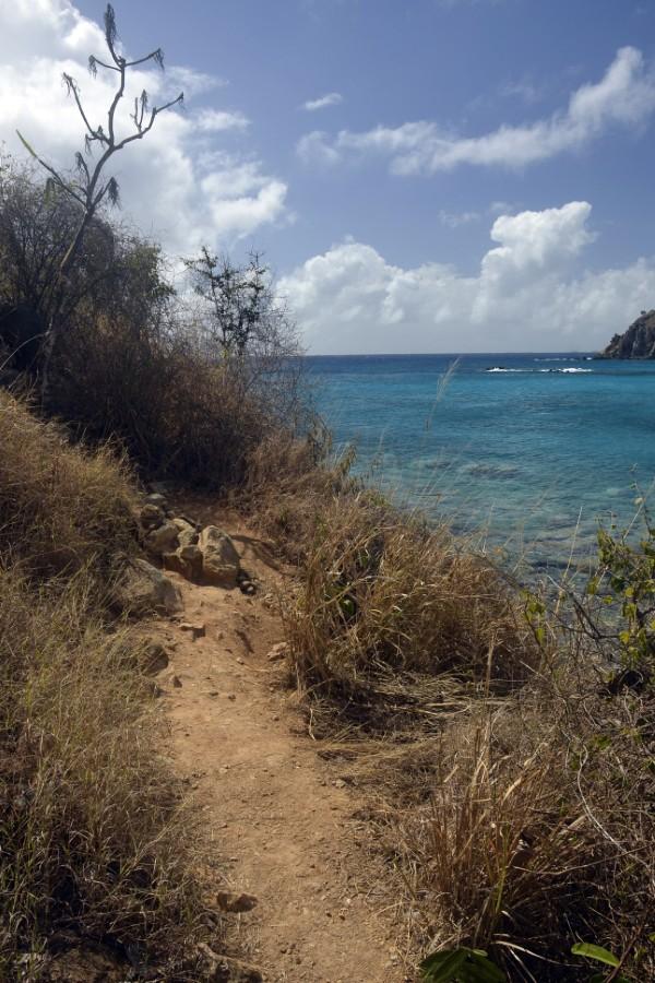 Ram Head Trail beginning