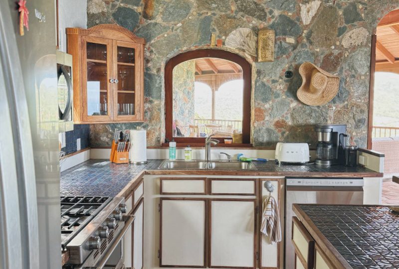 Orchid Hill kitchen